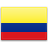 Colombian domain names - .net.co