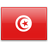 Register domains in Tunisia
