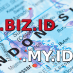 how to register .biz.id domain with local proxy service