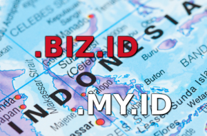 how to register .biz.id domain with local proxy service