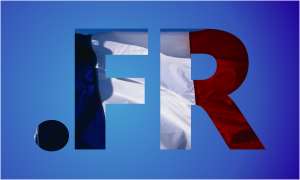 French Domain Name Registrar