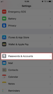 Next choose Passwords and Accounts